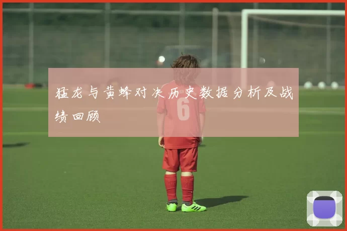 猛龙与黄蜂对决历史数据分析及战绩回顾