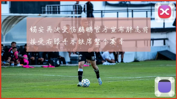 锡安再次受伤鹈鹕官方宣布胖虎将接受右膝手术缺席整个赛季